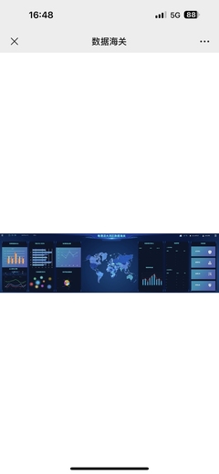 数据海关 预警大数据平台，构筑国家数字安全新防线